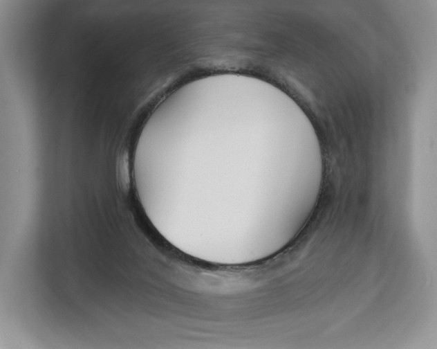 X0000112940020200909141356