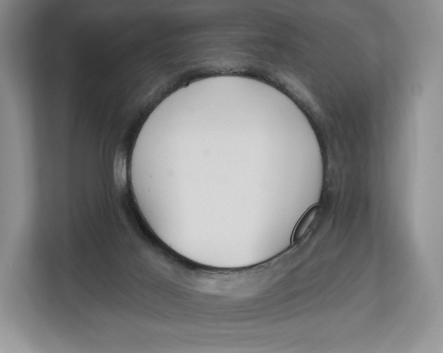 X0000112940021200909141356