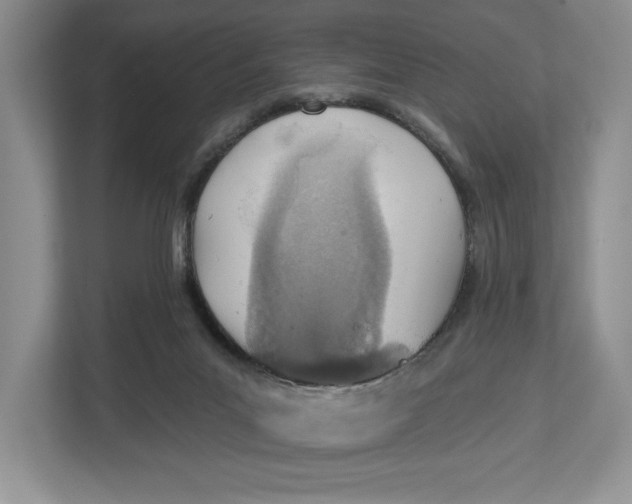 X0000112940023200909141356