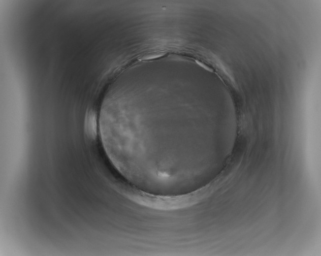 X0000112940027200909141356