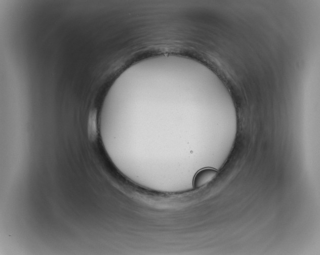 X0000112940028200909141356