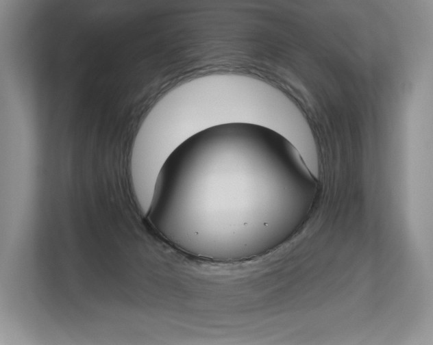 X0000112940029200909141356