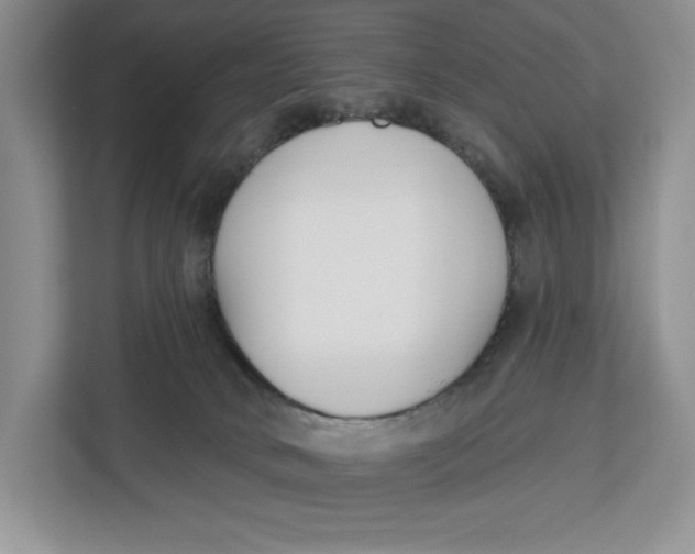 X0000112940034200909141356