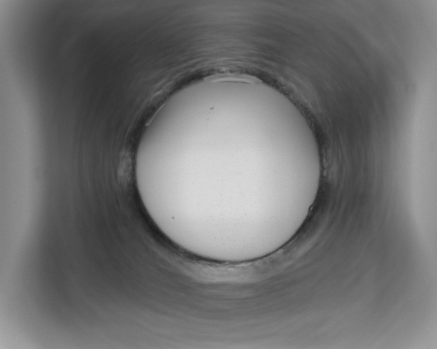 X0000112940036200909141356