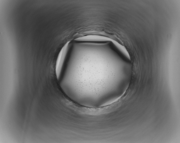 X0000112940037200909141356