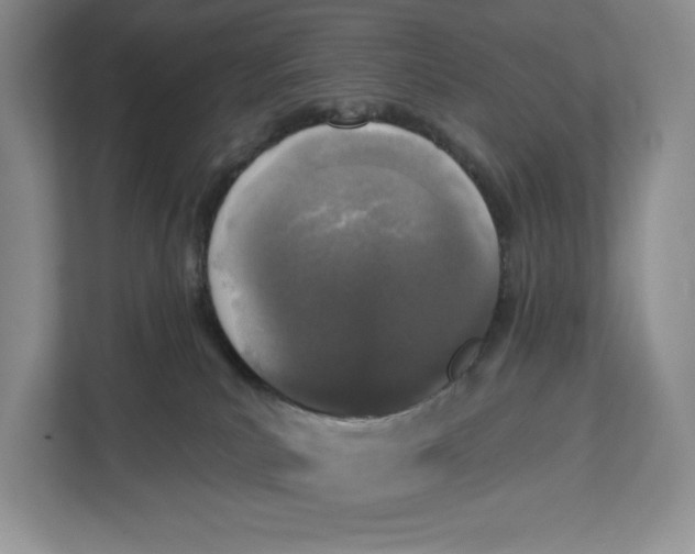 X0000112940039200909141356