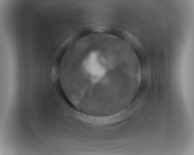 X0000112940043200909141356