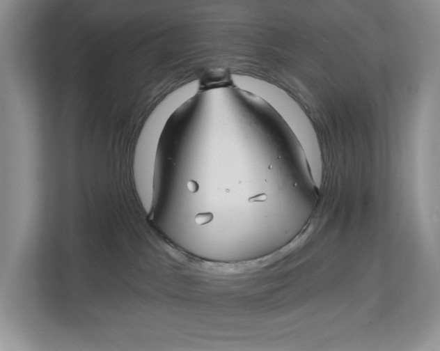 X0000112940045200909141356