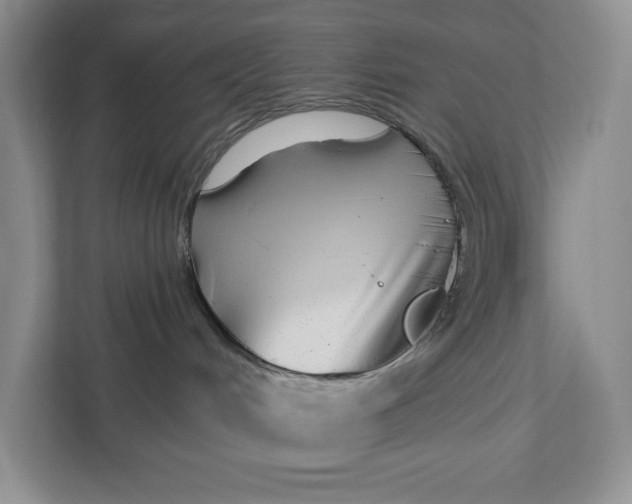 X0000112940048200909141356