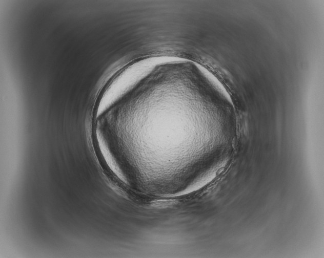 X0000112940051200909141355