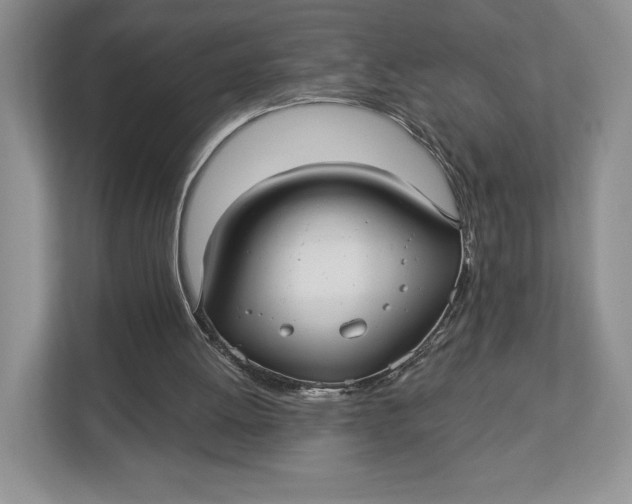 X0000112940052200909141355