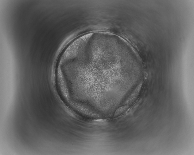X0000112940053200909141355