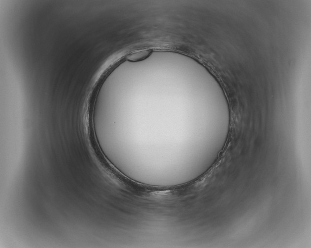 X0000112940054200909141355