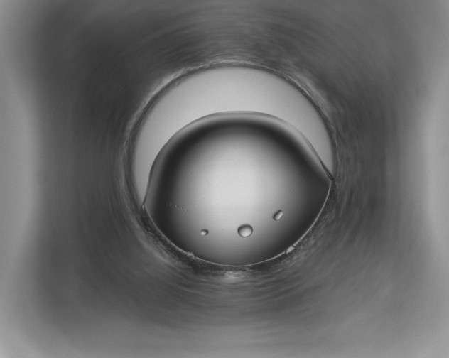 X0000112940060200909141355