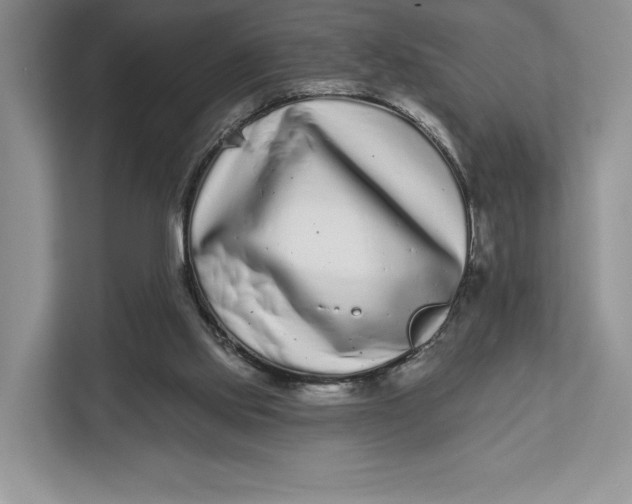 X0000112940061200909141355