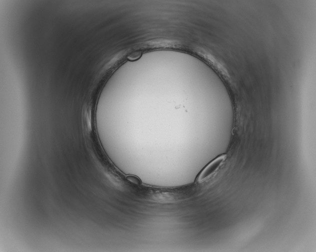 X0000112940062200909141355