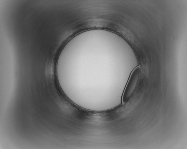 X0000112940064200909141355