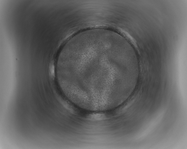 X0000112940067200909141355