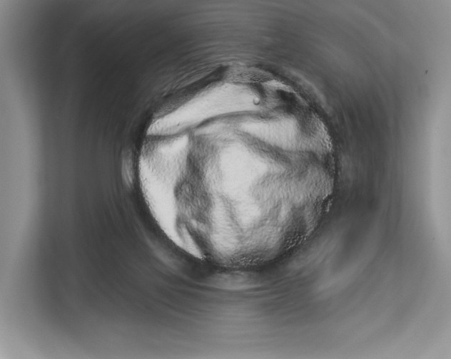 X0000112940069200909141355