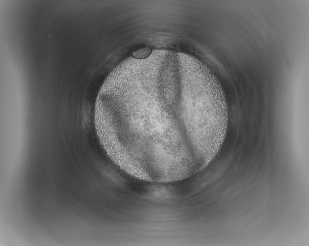 X0000112940073200909141355