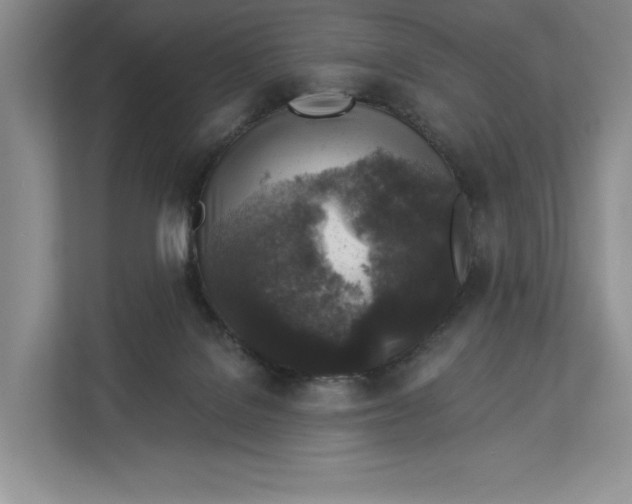 X0000112940076200909141355