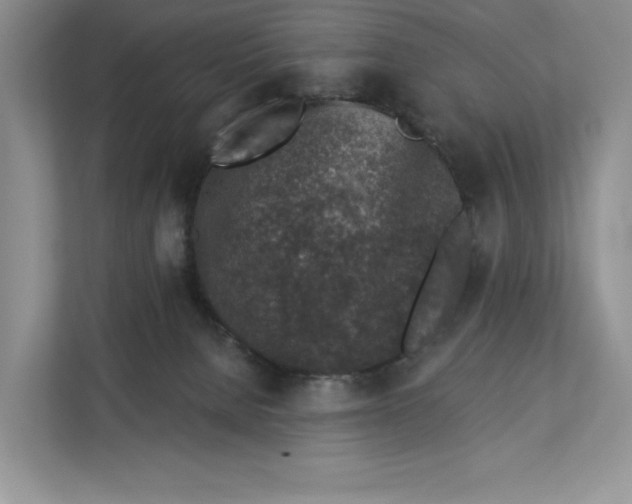 X0000112940080200909141355