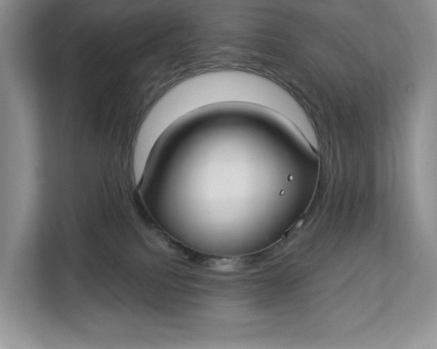 X0000112940088200909141356