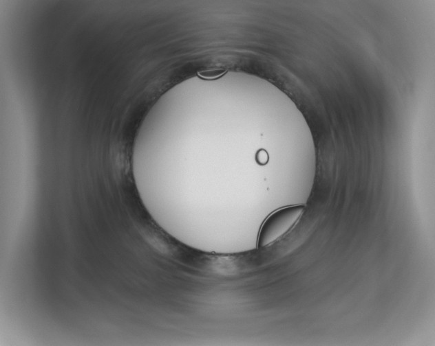 X0000112940091200909141356