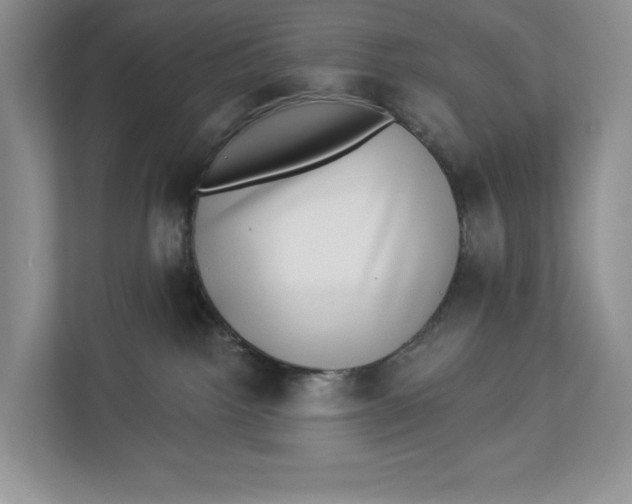 X0000112940092200909141356
