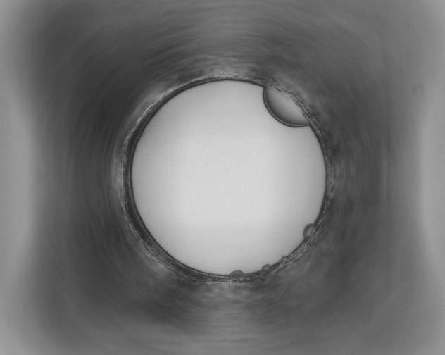 X0000112940098200909141355