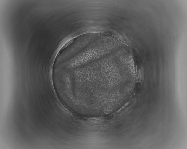X0000112940099200909141355