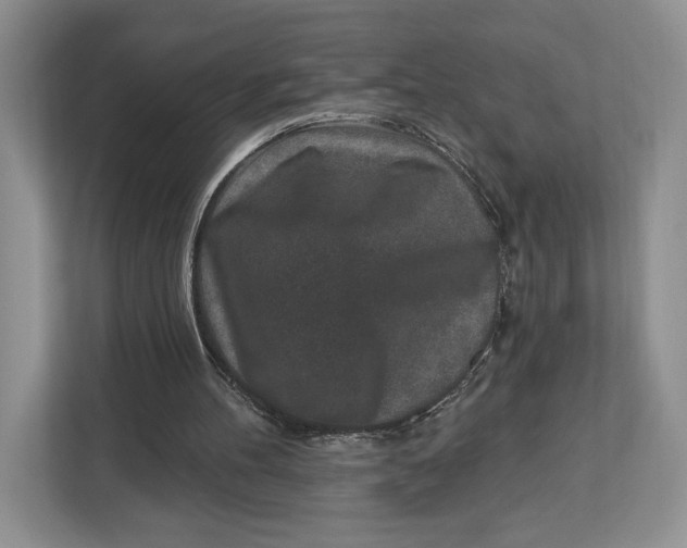 X0000112940100200909141355