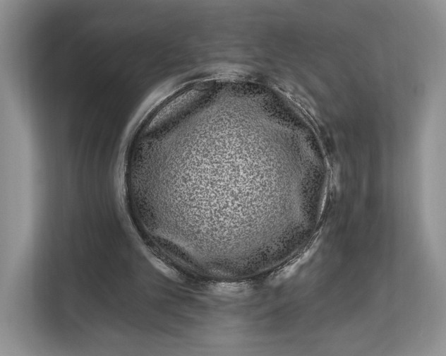 X0000112940101200909141355