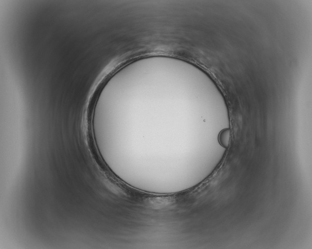 X0000112940102200909141355