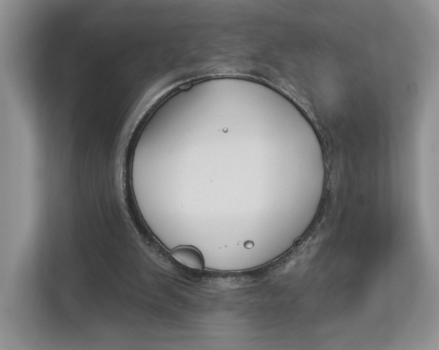 X0000112940103200909141355