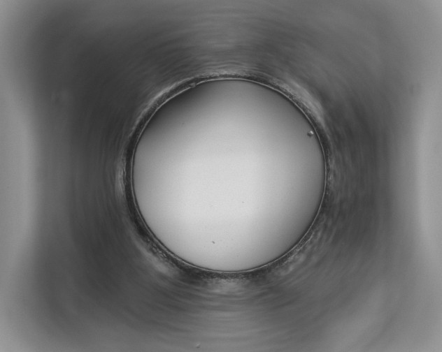 X0000112940107200909141355
