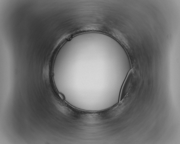 X0000112940108200909141355