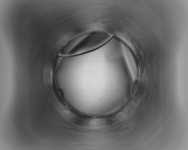 X0000112940109200909141355