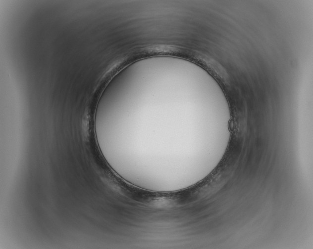 X0000112940111200909141355