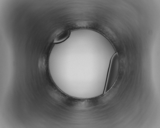 X0000112940116200909141355