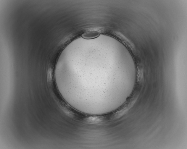 X0000112940117200909141355