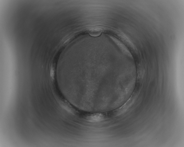 X0000112940124200909141355