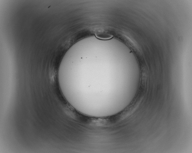 X0000112940125200909141355