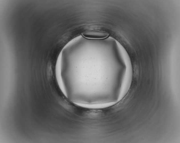 X0000112940128200909141355