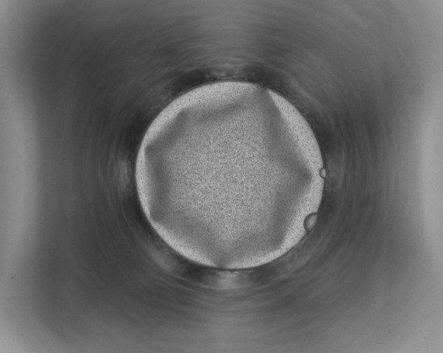 X0000112940130200909141355