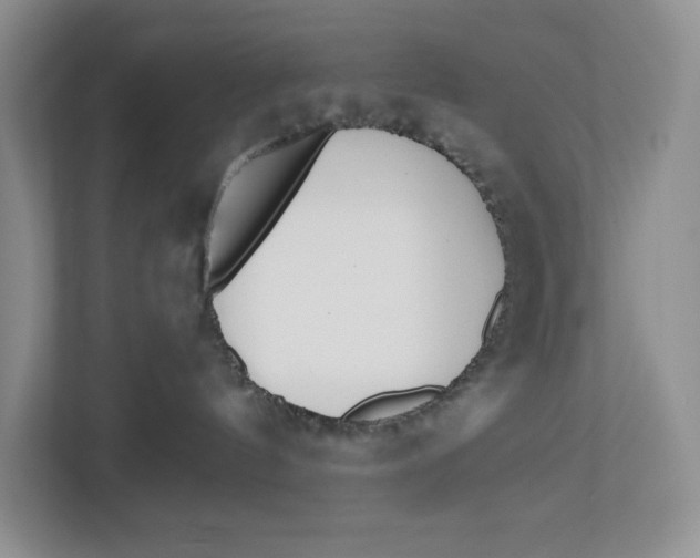 X0000112940144200909141354