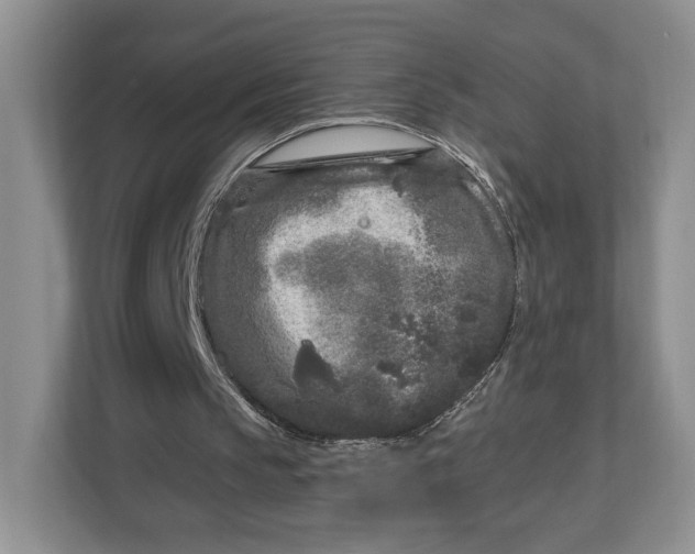 X0000112940145200909141354