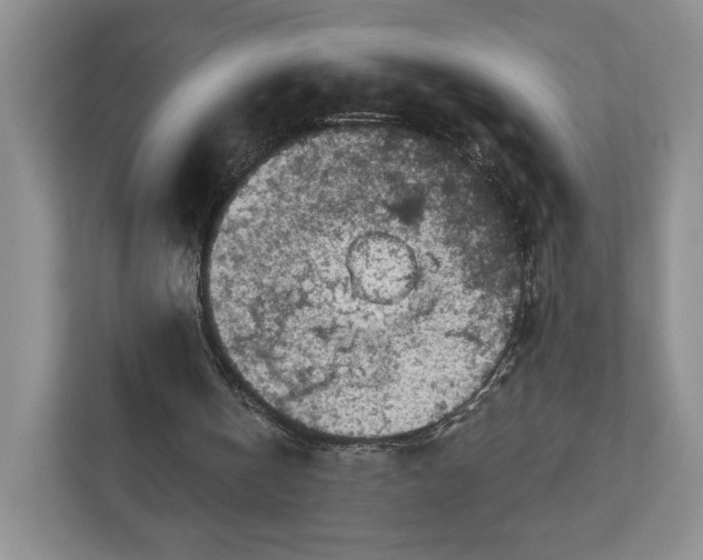 X0000112940146200909141354