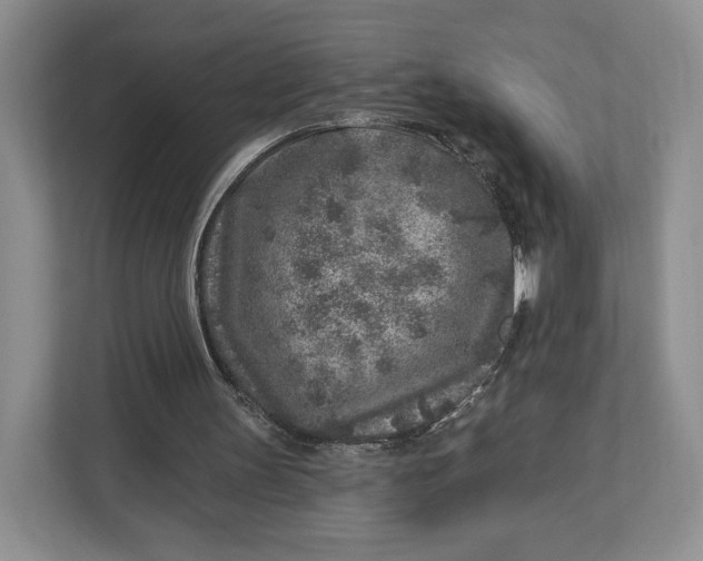 X0000112940147200909141354