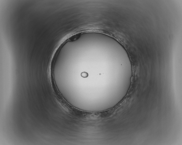X0000112940148200909141354